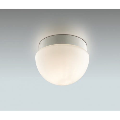 Накладной светильник Odeon Light 2443/1B