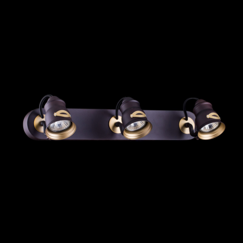 Спот Maytoni SP315-CW-03-BR