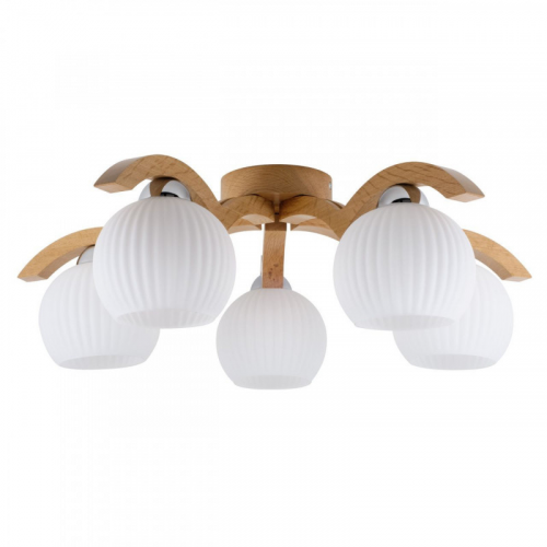 Накладная люстра Spot Light 5640570