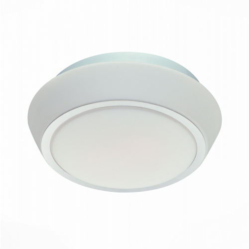 Накладной светильник ST-Luce SL496.502.02