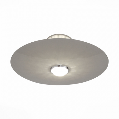 Накладной светильник ST-Luce SL931.502.01