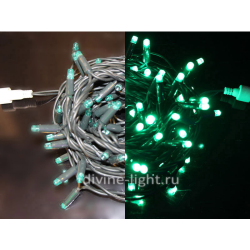 Светодиодная нить RichLED RL-S10C-24V-RG/G