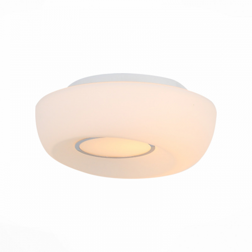 Накладной светильник ST-Luce SL467.502.01