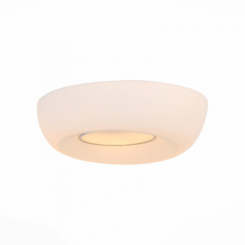 Накладной светильник ST-Luce SL467.502.03