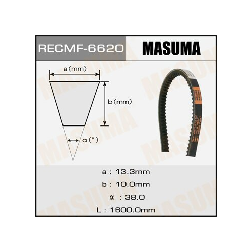 Ремень клиновый MASUMA рк.6620 13х1600 мм