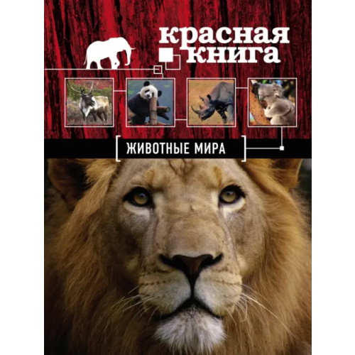 Эксмо Красная книга. Животные мира Скалдина Оксана Валерьевна, Слиж Евгений Александрович