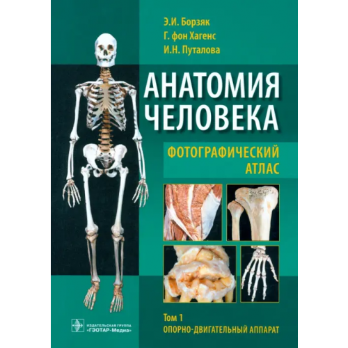 ГЭОТАР-Медиа Анатомия человека. Фотографический атлас. Учебное пособие. В 3-х томах. Том 1 Борзяк Эдуард Иванович, Гунтер фон Хагенс, Путалова Ирина Николаевна