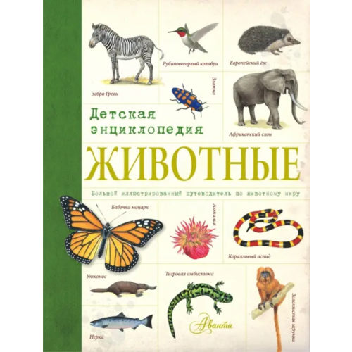 АСТ Животные. Детская энциклопедия