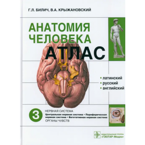 ГЭОТАР-Медиа Атлас анатомии человека. В 3-х томах. Том 3 Билич Габриэль Лазаревич, Крыжановский Валерий Анатольевич