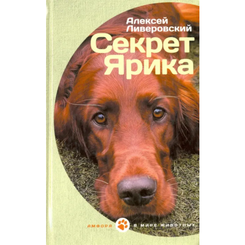 Амфора Секрет Ярика. Рассказы Ливеровский Алексей Алексеевич