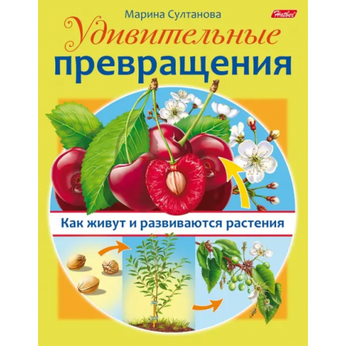 Хатбер Удивительные превращения. Как живут и развиваются растения Султанова Марина