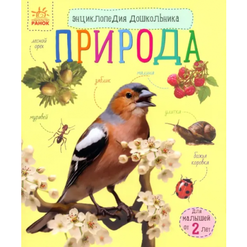 Ранок Познаем и исследуем. Природа Каспарова Юлия Вадимовна