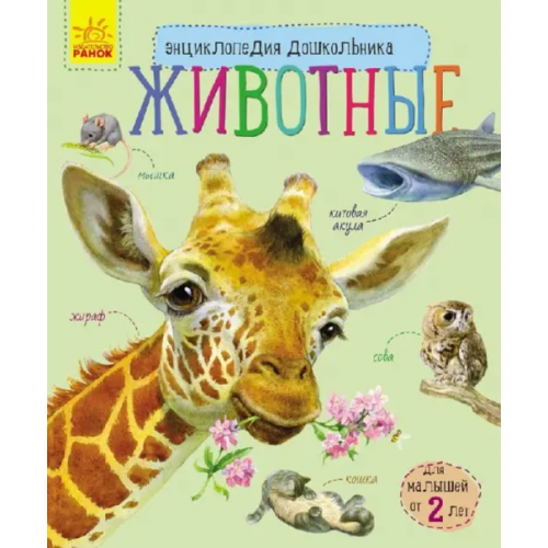 Ранок Животные Каспарова Юлия Вадимовна