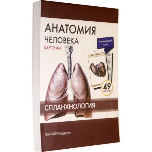 Практическая медицина Анатомия человека. Спланхнология. Карточки (49 шт.) Сапин Михаил Романович, Николенко Владимир Николаевич, Тимофеева М. О