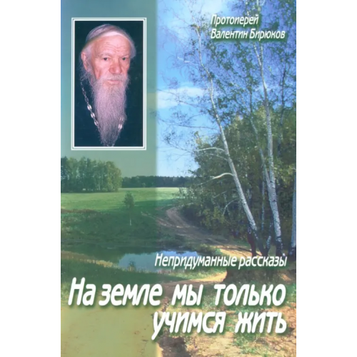 Данилов мужской монастырь На земле мы только учимся жить. Непридуманные рассказы Протоиерей Валентин Бирюков
