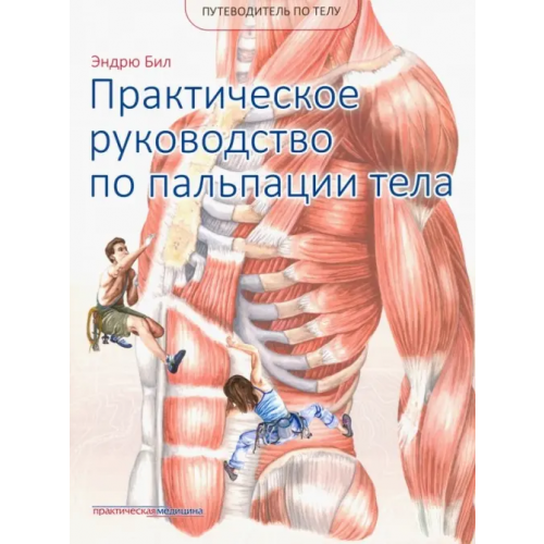 Практическая медицина Путеводитель по телу. Практическое руководство по пальпации тела Бил Эндрю