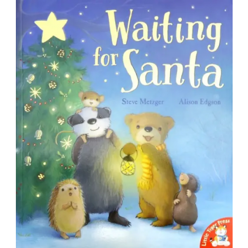 Little Tiger Press Waiting for Santa Metzger Rainer