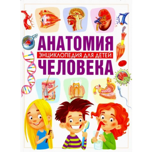 Владис Анатомия человека. Энциклопедия для детей Гуиди Винченцо