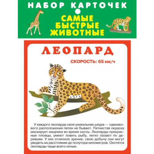 Искатель Набор карточек. Самые быстрые животные
