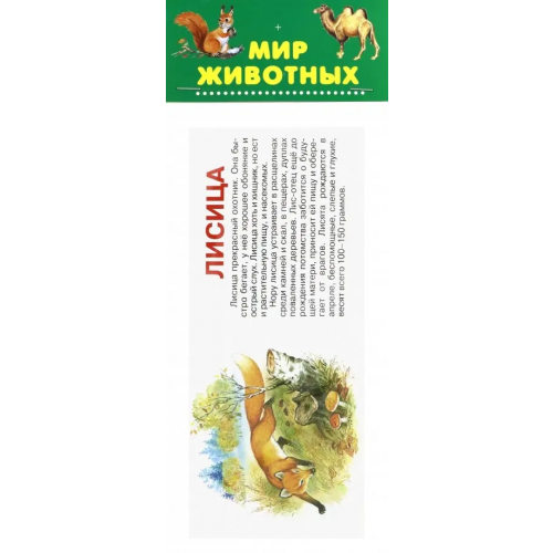 Искатель Набор карточек. Мир животных
