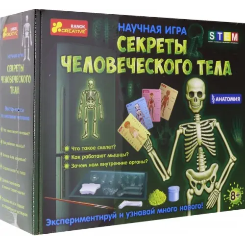 Ранок Набор для опытов. Анатомия. Скелет человека