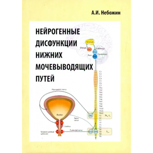Икар Нейрогенные дисфункции нижних мочевыводящих путей Небожин Александр Иванович