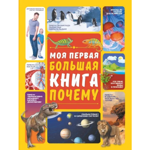 Аванта Моя первая большая книга ПОЧЕМУ Ермакович Дарья Ивановна
