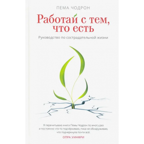 Ганга Работай с тем, что есть. Руководство по сострадательной жизни Чодрон Пема