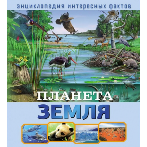 НД Плэй Планета Земля Денс Юдит