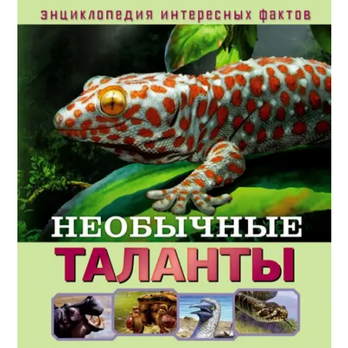 НД Плэй Необычные таланты Баголи Илона