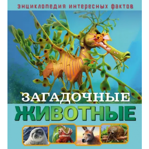 НД Плэй Загадочные животные Баголи Илона