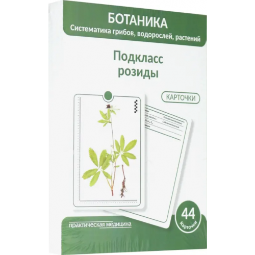 Практическая медицина Ботаника. Систематика грибов, водорослей, растений. Подкласс розиды. 44 карточки Луферов А. Н., Анцышкина А. М., Простодушева Т. В