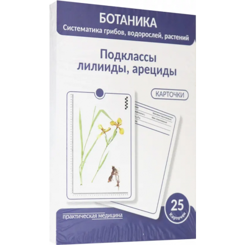 Практическая медицина Ботаника. Систематика грибов, водорослей, растений. Подклассы лилииды, арециды. 25 карточек Луферов А. Н., Анцышкина А. М., Простодушева Т. В