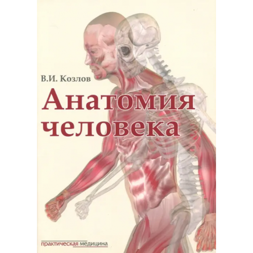 Практическая медицина Анатомия человека. Учебник Козлов Валентин Иванович