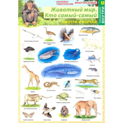 РУЗ Ко Наклейки тематические "Животный мир. Кто самый-самый", многоразовые (+ поле для наклеек)
