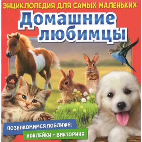 Свежий ветер Познакомимся поближе! Домашние любимцы Денс Юдит, Пухола Китти