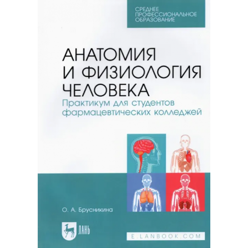 Лань Анатомия и физиология человека. Практикум для студентов фармацевтических колледжей Брусникина Ольга Алексеевна
