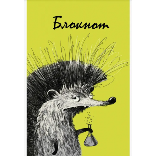 Феникс+ Блокнот. Ежик-химик, A5, 40 листов, клетка