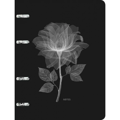 Joy Book Тетрадь на кольцах "Limited. No. 7", А5, 120 листов, клетка