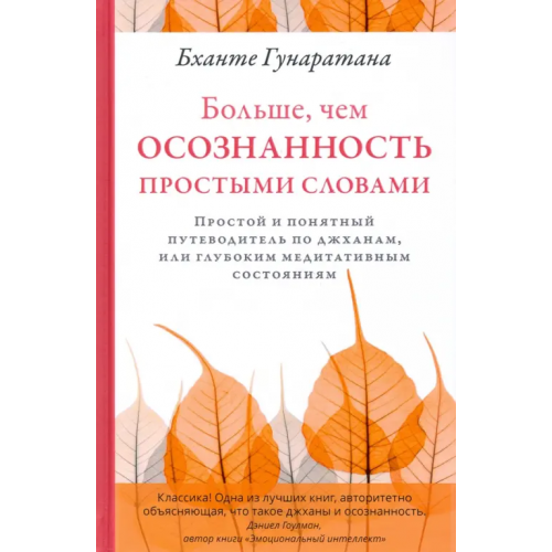 Ганга Больше, чем осознанность простыми словами Гунаратана Бханте Хенепола