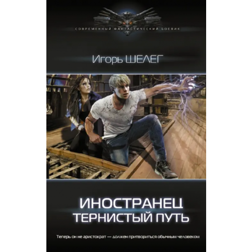 АСТ Иностранец. Тернистый путь Шелег Игорь Витальевич