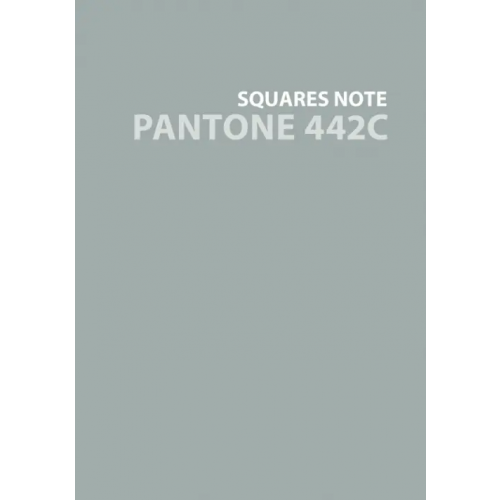 Joy Book Евротетрадь. Pantone line 442С, А6+, 80 листов, клетка