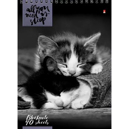 Альт Блокнот. Кошки, А5, 40 листов, клетка