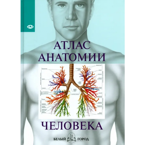Белый город Атлас анатомии человека