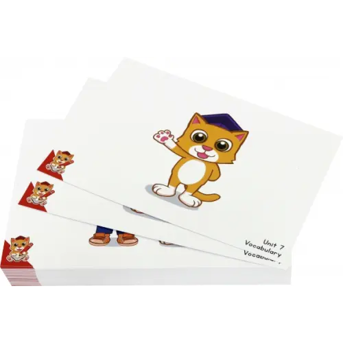 Study Cat Fun English for Schools Flashcard for Teacher 1B (72 cards)