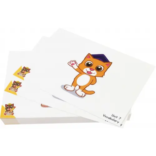 Study Cat Fun English for Schools Flashcard for Teacher 2B (72 cards)