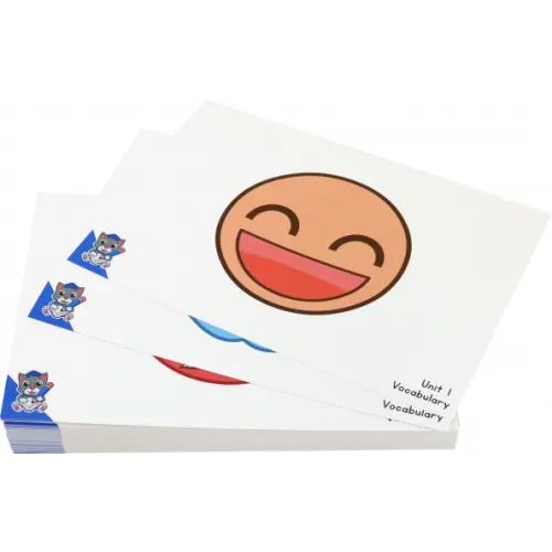 Study Cat Fun English for Schools Flashcard for Teacher 3A (71 cards)