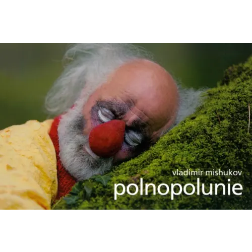 Paulsen Фотоальбом "Polnopolunie" Мишуков Владимир