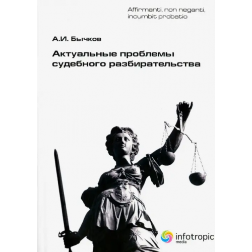 Инфотропик Актуальные проблемы судебного разбирательства Бычков Александр Игоревич