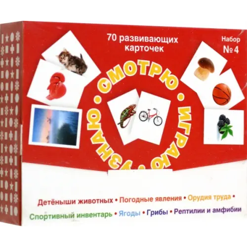 Издательский Дом Мещерякова Набор карточек № 4. Смотрю. Играю. Узнаю